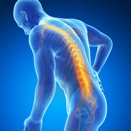 Chiropractic care can help diagnose the cause of back pain