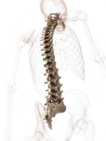 chiropractic spinal adjustment