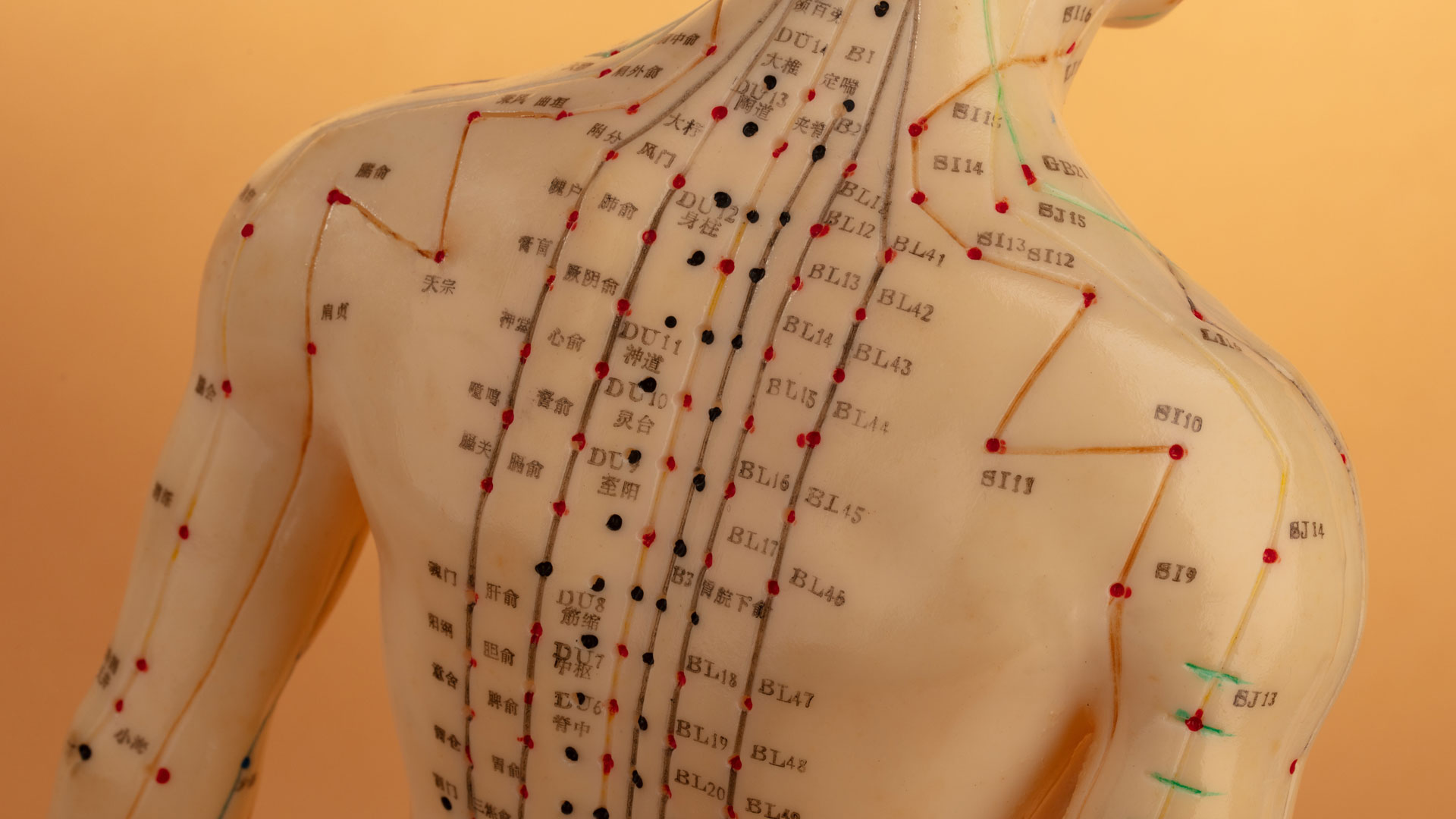 the-basics-of-acupuncture-points-merckling-family-chiropractic
