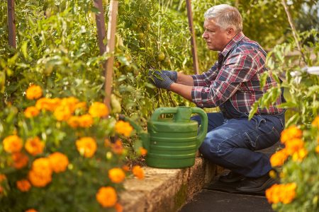 Back Safety Tips When Gardening